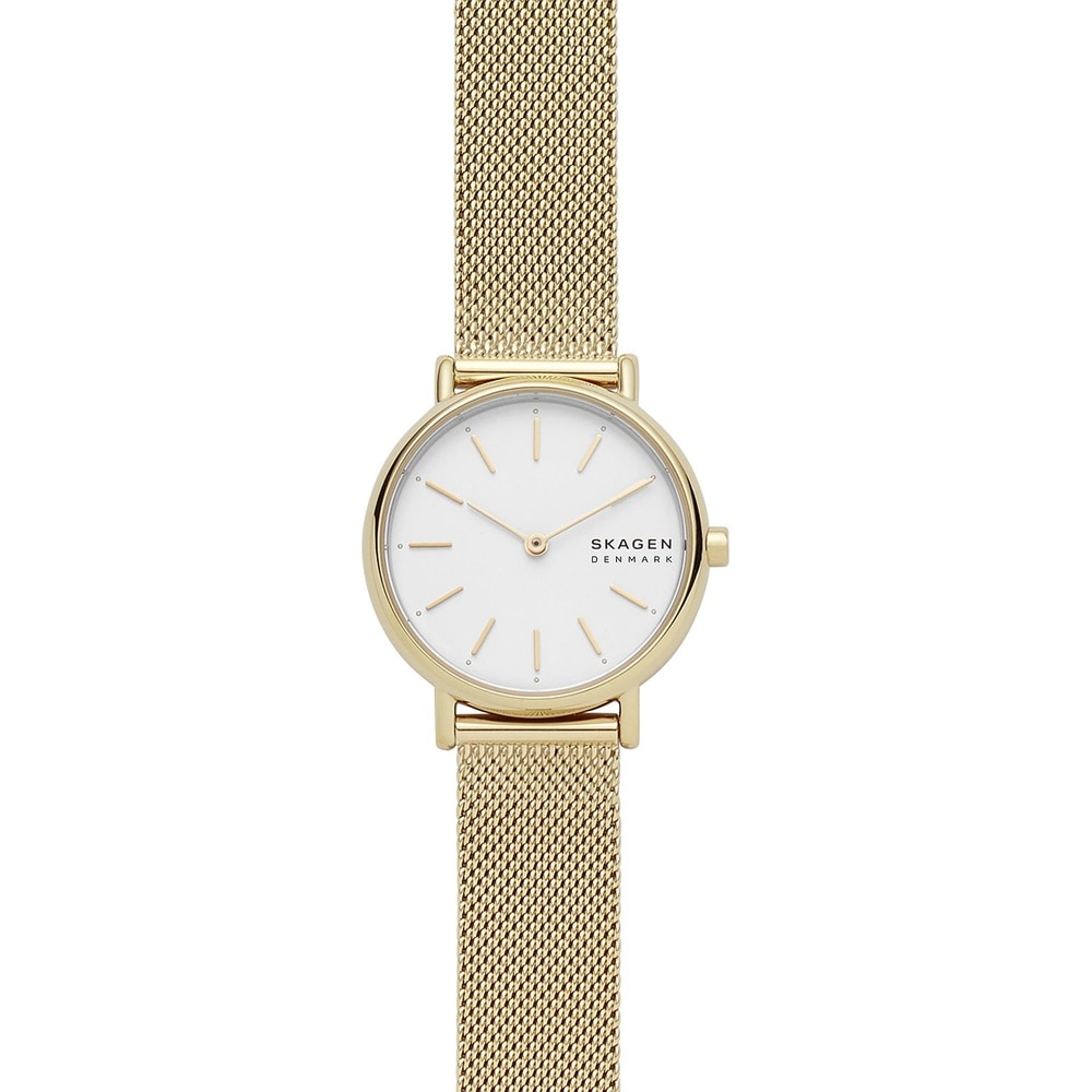 Skagen Montre pour femme Acier inoxydable Montre