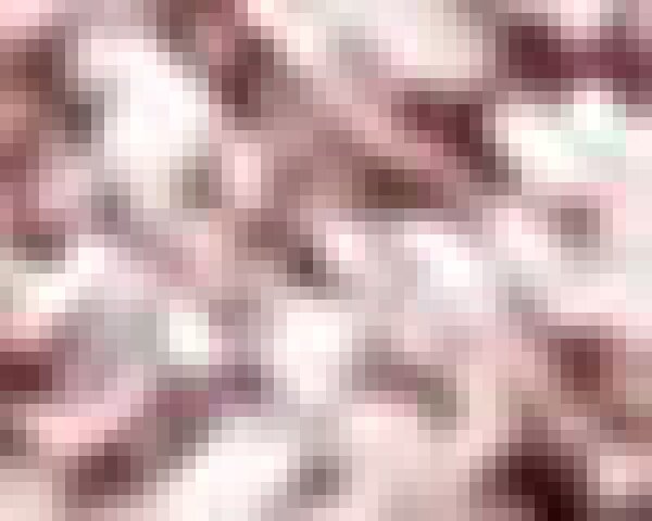 Stagecolor Cosmetics Lidschatten