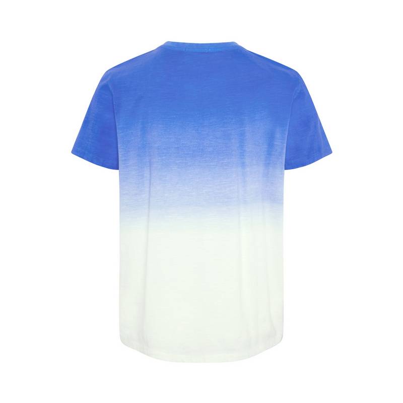 Chiemsee T-Shirt T-Shirt Herren