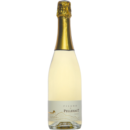 PILAHO 2022 - DOMAINE PELLEHAUT