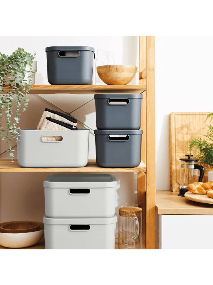 Rotho Albula Light 2er-Set Aufbewahrungskiste 20l in Mistelweiß günstig kaufen onesize