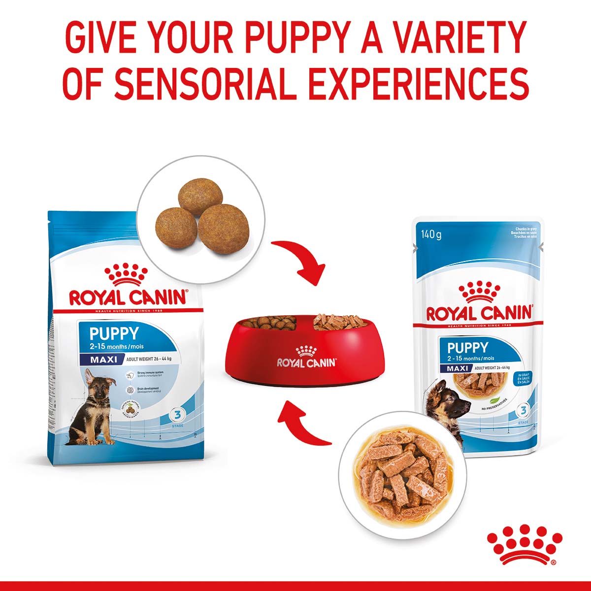 ROYAL CANIN MAXI PUPPY Welpenfutter nass für große Hunde