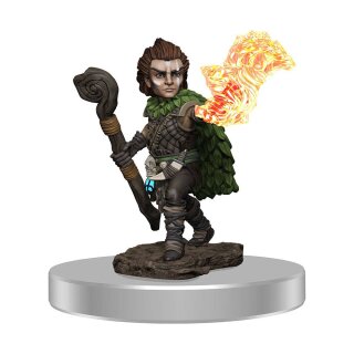 Pathfinder Battles Premium Miniatur vorbemalt Male Gnome Druid