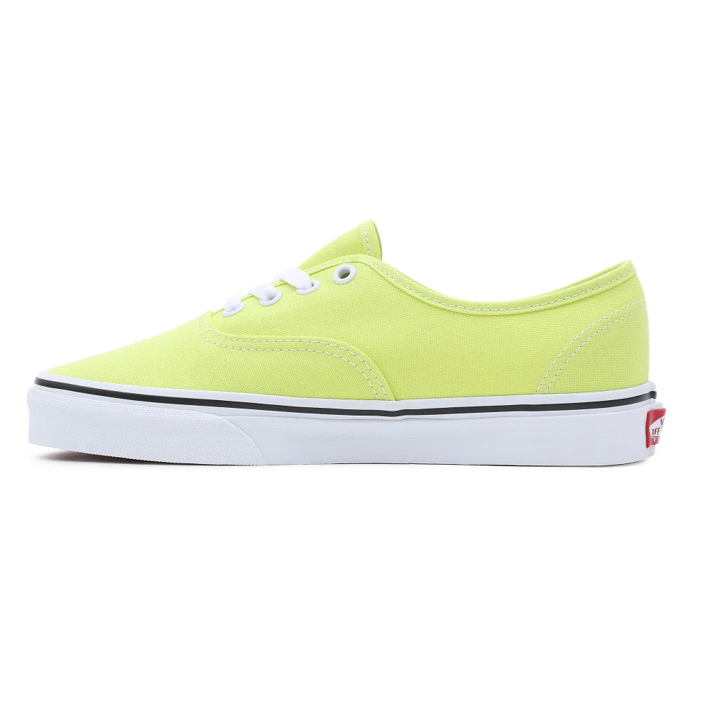 Vans Color Theory Authentic VN0A5KS9ZUD1 / grün