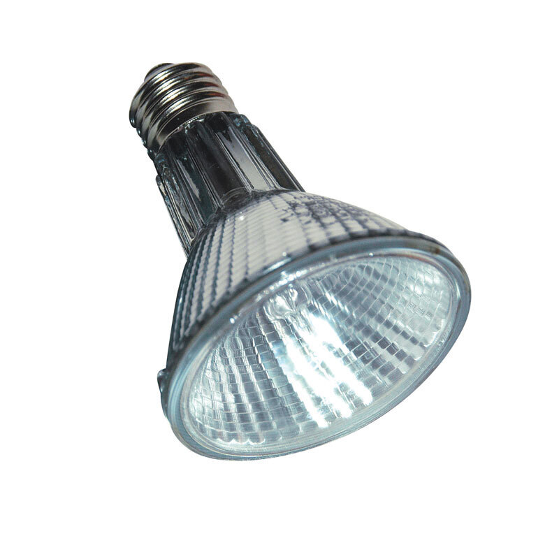 Lucky Reptile Beleuchtung Lucky Reptile Halogen Sun 100 W