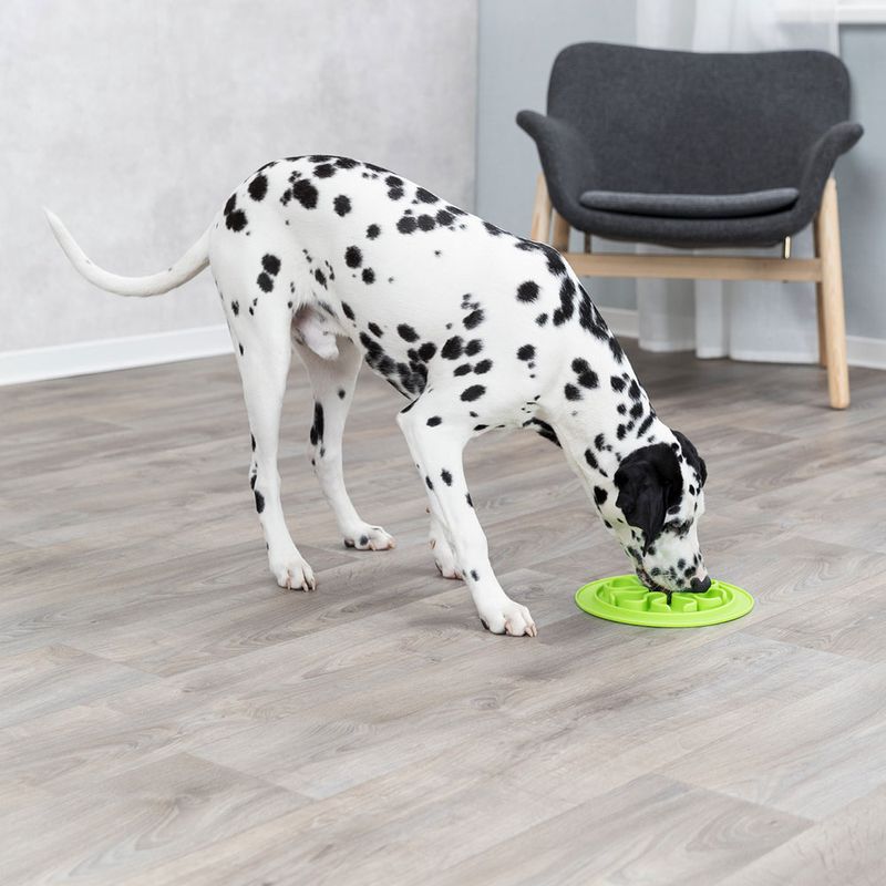 Trixie Futtermatte Slow Feed, Silikon zu TOP-Preisen | bitiba %