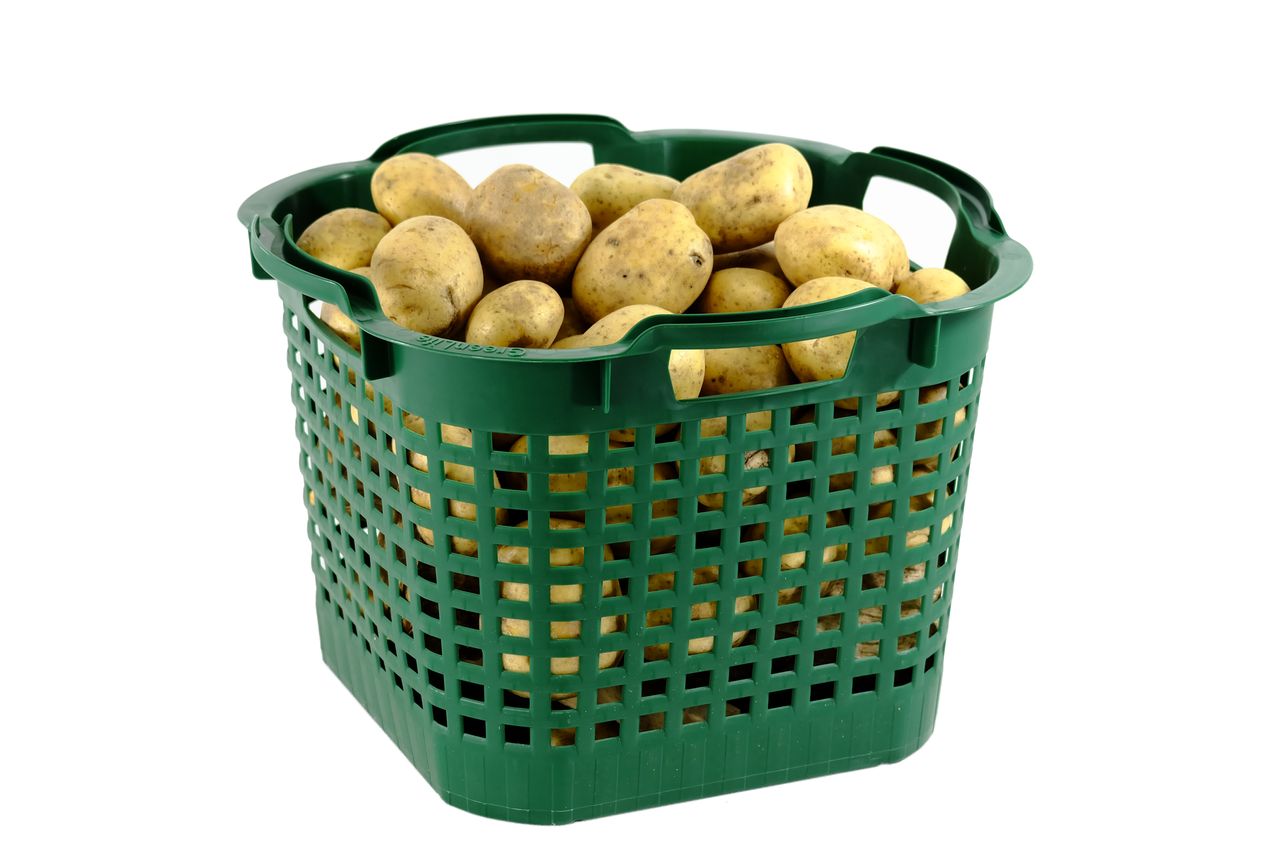 GreenLife Uni-Korb 25 kg, 10 Stück, drehstapelbar, grün