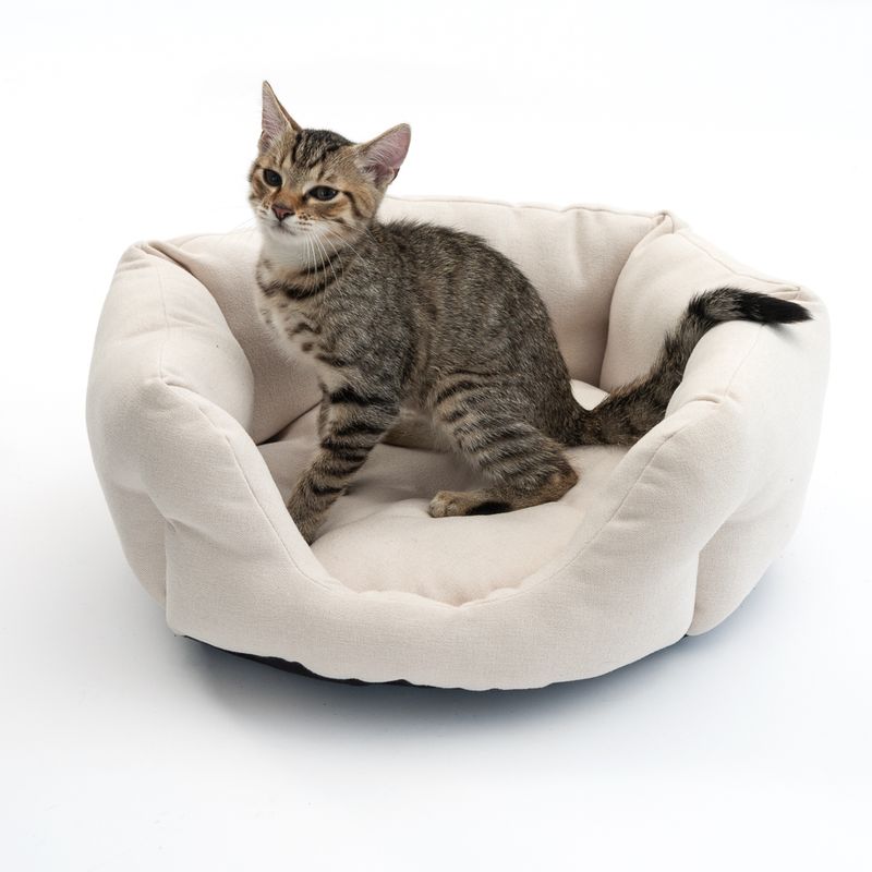Modern Living Kuschelbett Ostuni zu TOP-Preisen
