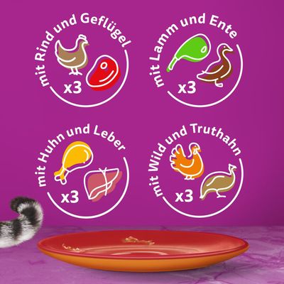 Multipack Whiskas Duo Portionsbeutel 48 x 85 g