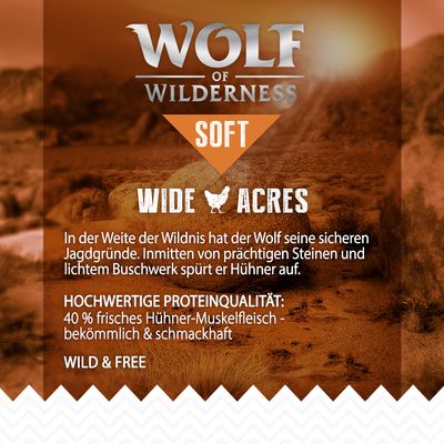 Wolf of Wilderness 