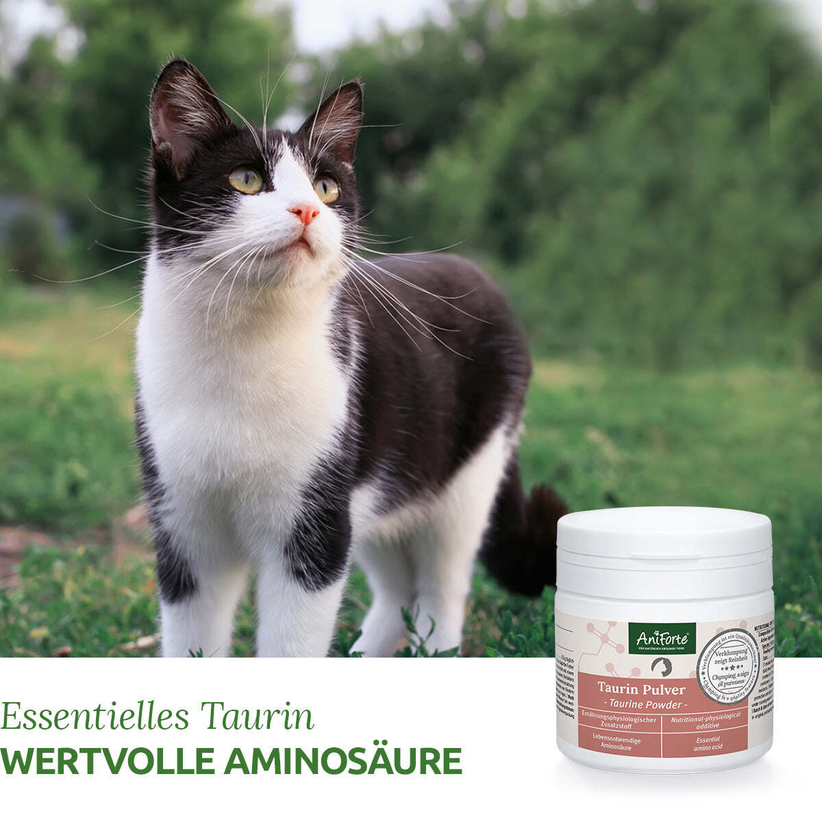 Aniforte Ergänzungsfutter & Aufzucht Aniforte Taurin 100g