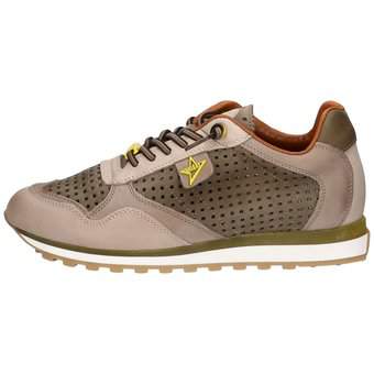 Cetti Sneaker in grün