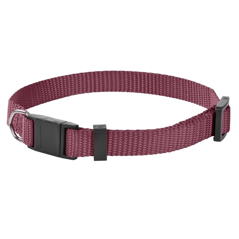 AniOne Halsbänder AniOne Jungkatzenhalsband