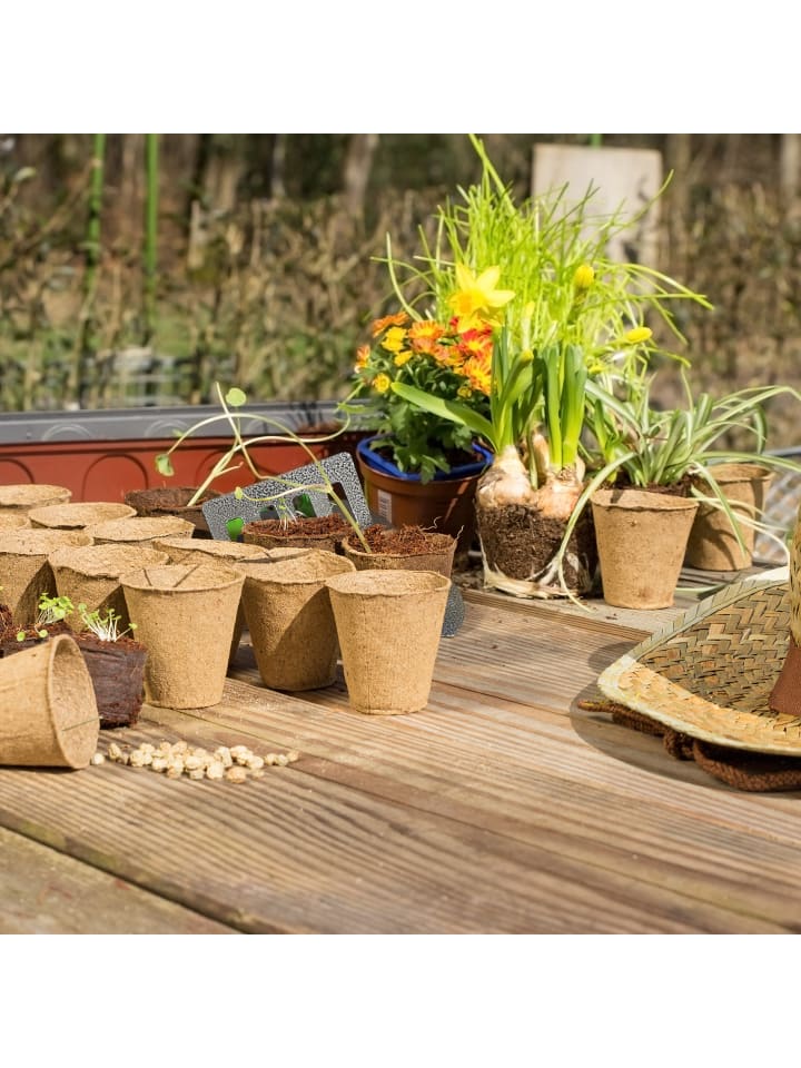 relaxdays 240x Anzuchttöpfe in Natur - (H)7,5 x Ø 8 cm günstig kaufen onesize