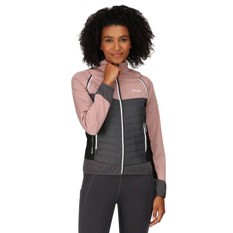 Regatta Steren Outdoorjacke Damen