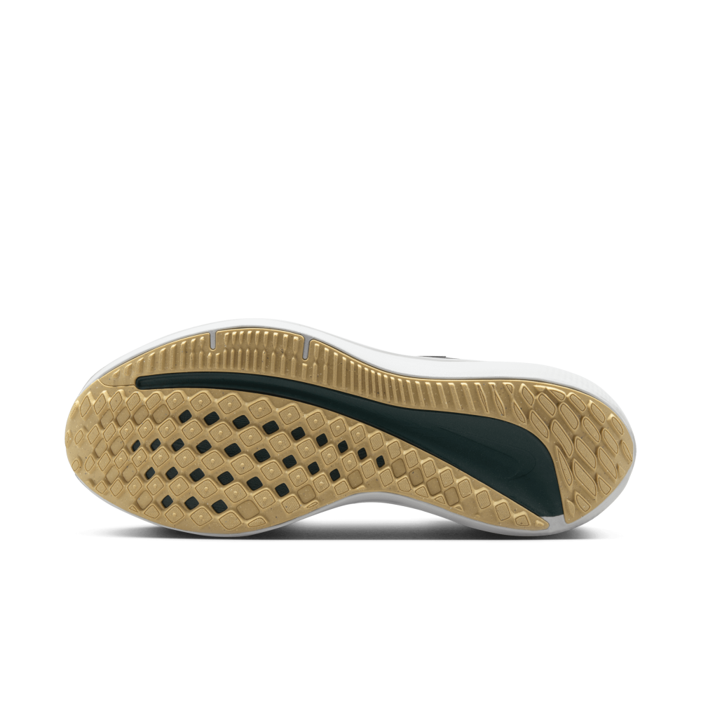 Nike Winflo 10 DV4022-008 / schwarz