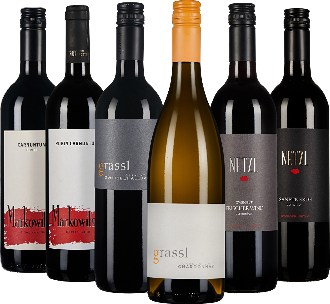 WEIN & CO Carnuntum Probierpaket