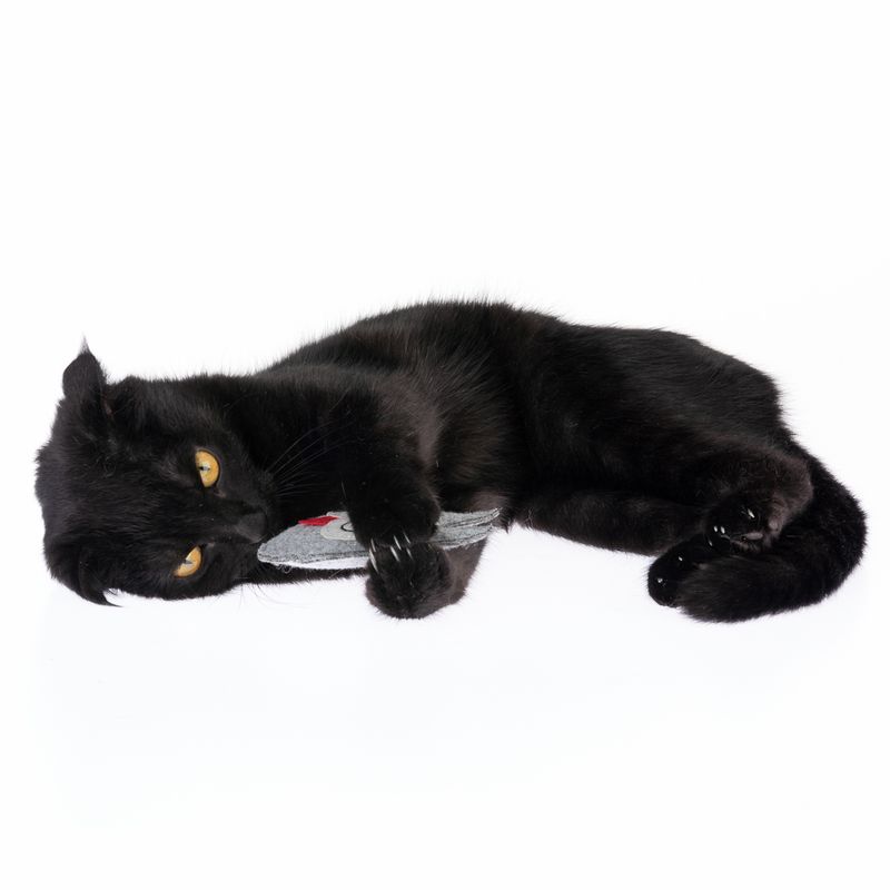 TIAKI Katzenspielzeug Filz-Eule mit Katzenminze