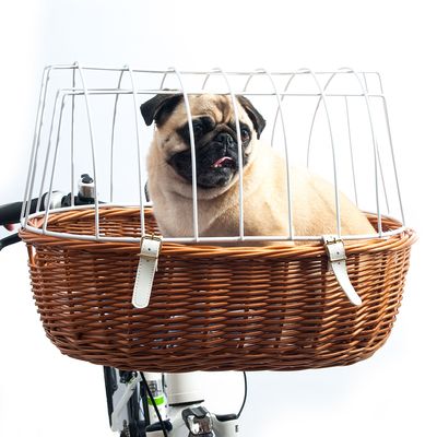 Aumüller Hunde-Fahrradkorb mit Schutzgitter