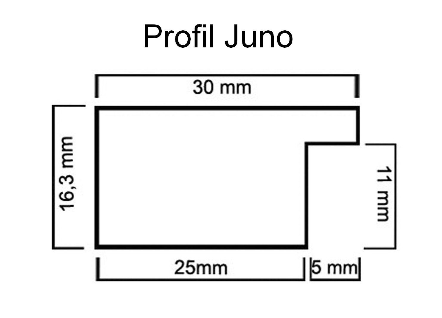 myposterframe Einzelrahmen Bilderrahmen Vintage Juno, (1 Stück), 20x20 cm, Vintage Metall, MDF