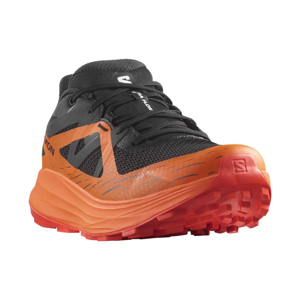 Salomon Ultra Flow GTX L47474000 / schwarz