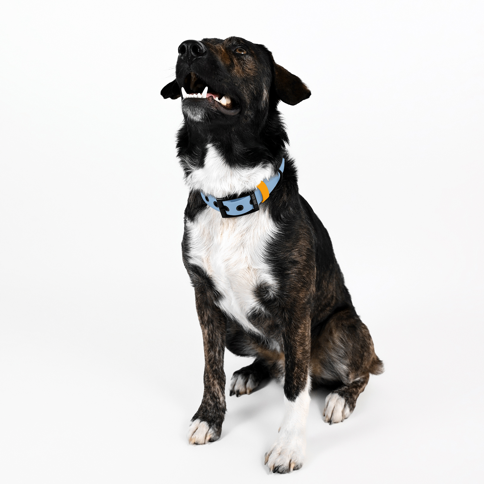 THE DOG IDEA Hundehalsbänder THE DOG IDEA Biothane Halsband Hellblau S