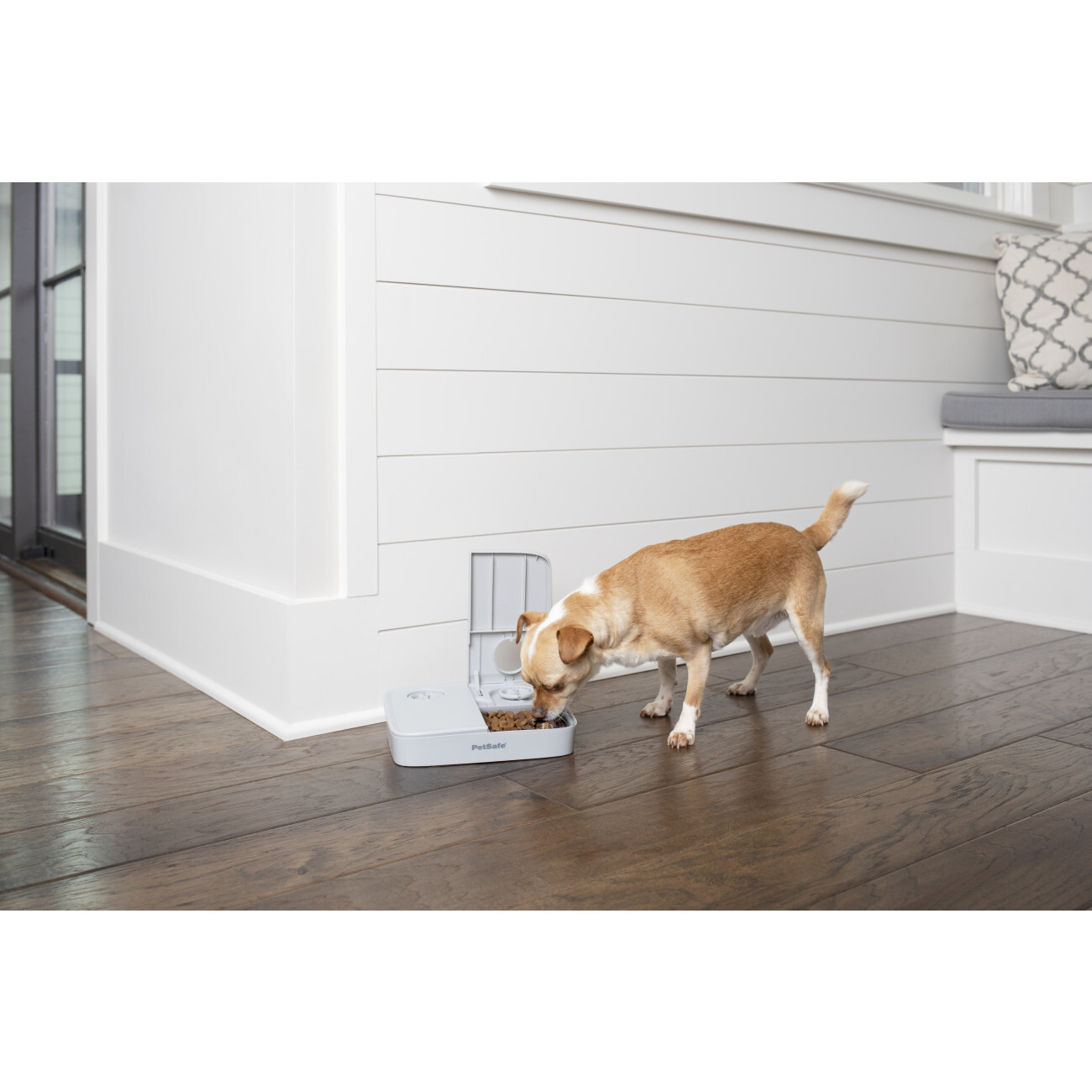 PetSafe Futterautomaten PetSafe Futterautomat für 2 Mahlzeiten