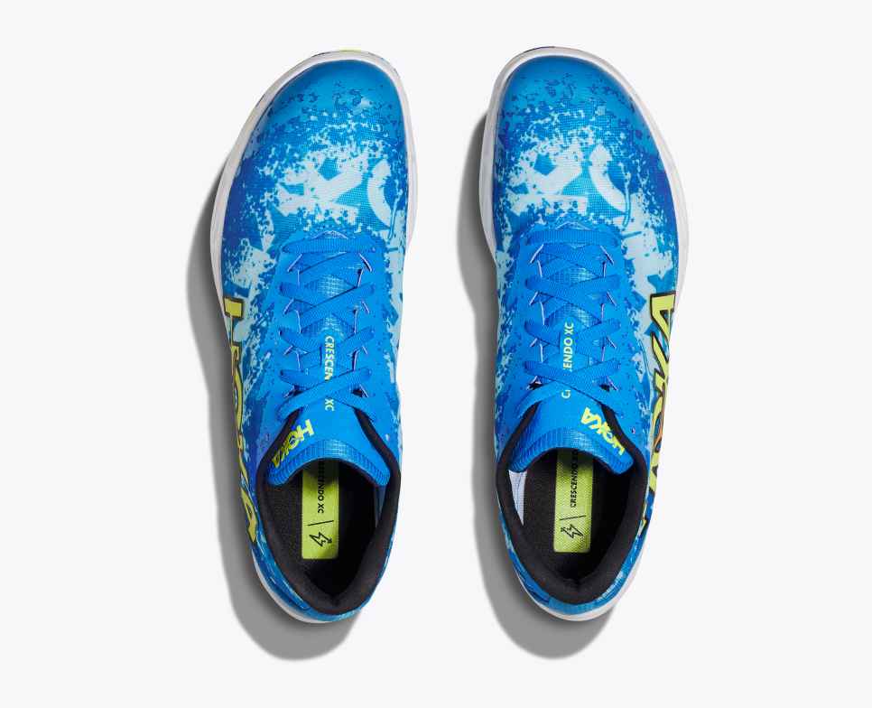 Crescendo XC Dive Blue / Evening Primrose