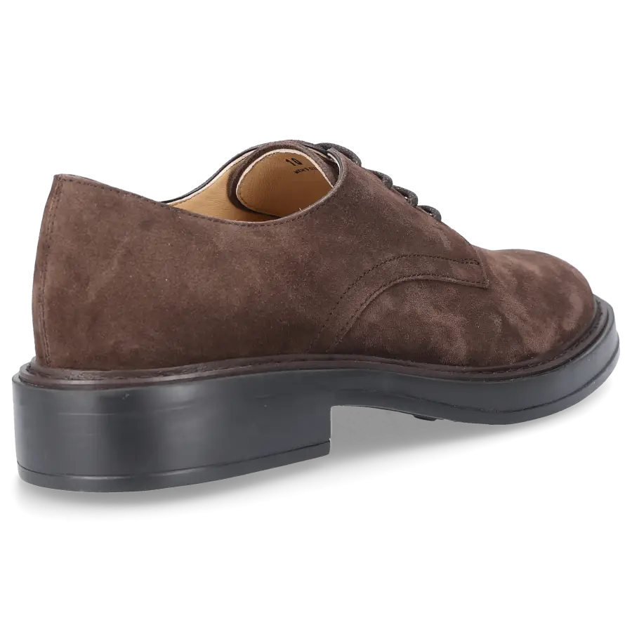 Tod's - Businessschuhe Derby M61K00 Veloursleder - braun