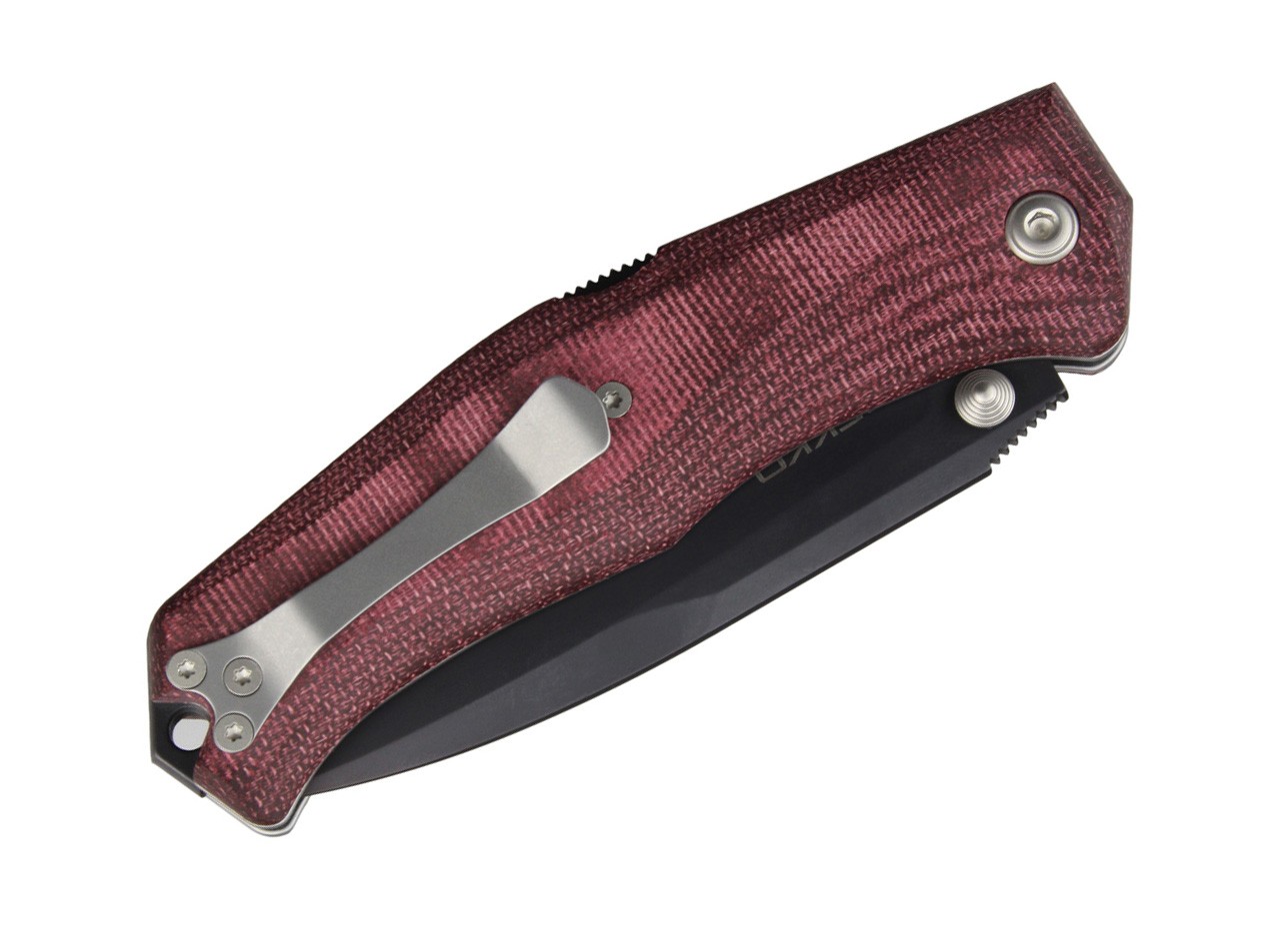 Gekko 1555