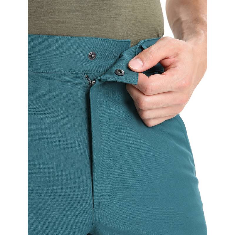 Icebreaker HIKE Funktionsshorts Herren