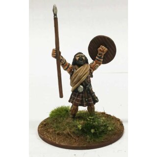 SAGA: Pict Warlord