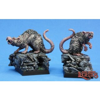 Barrow Rats (2)
