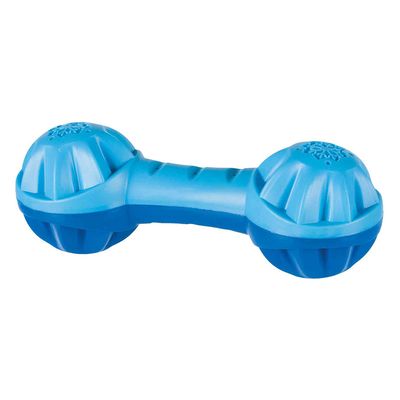 Trixie Hundespielzeug Kühl-Hantel