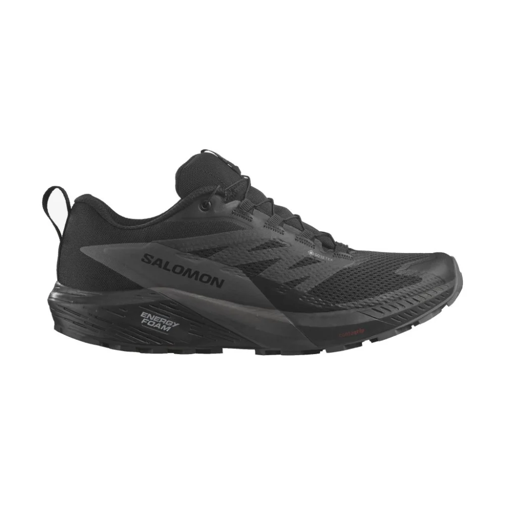 Salomon Sense Ride 5 GTX L47147600 / schwarz