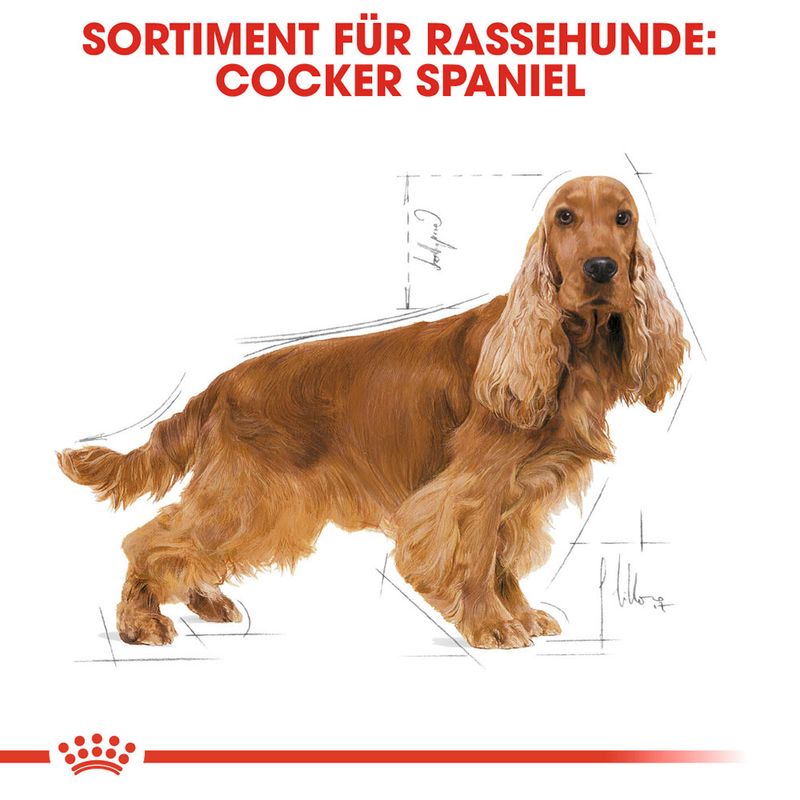 Royal Canin Cocker Adult