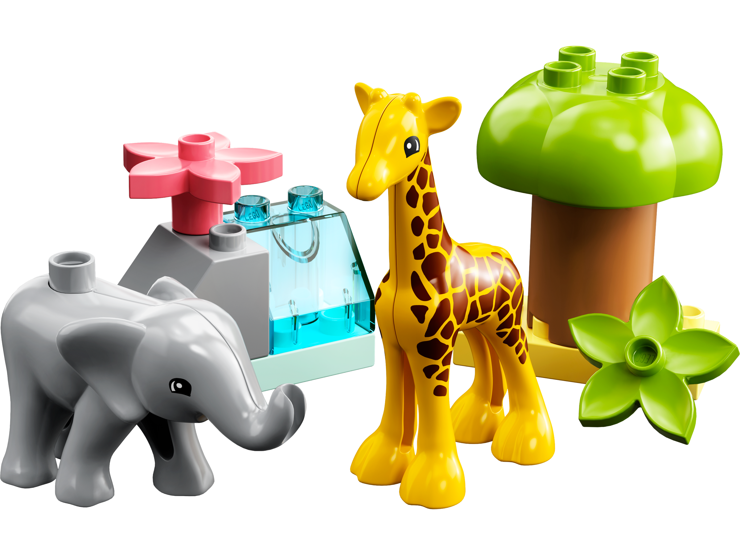 Wilde Tiere Afrikas 10971