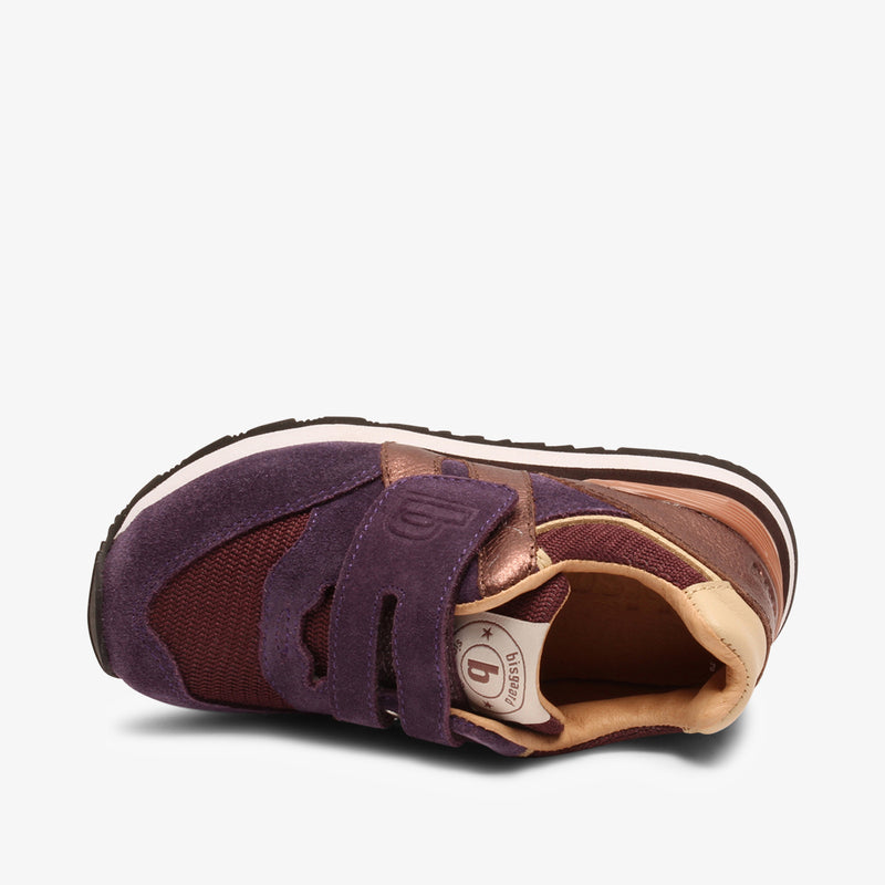 winston purple - Violett