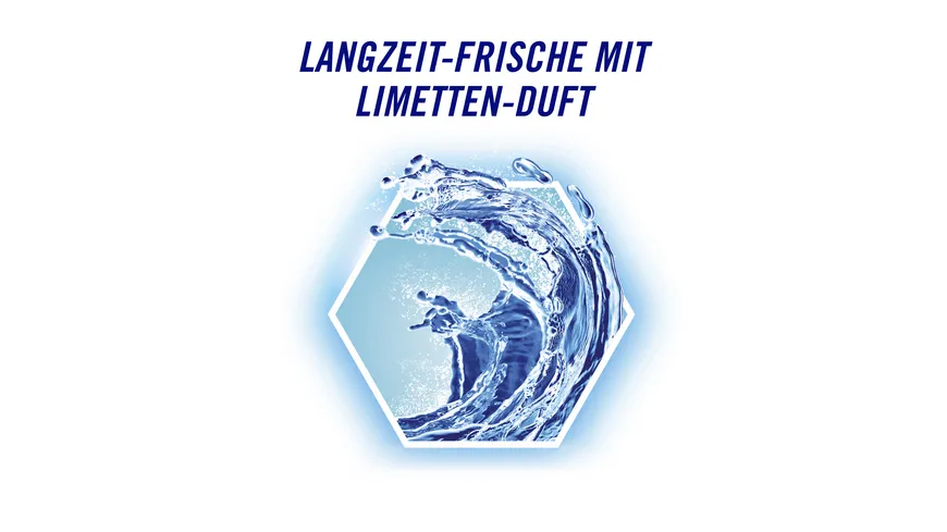 Domestos WC Stein Power 5 Limette Duo 110 g