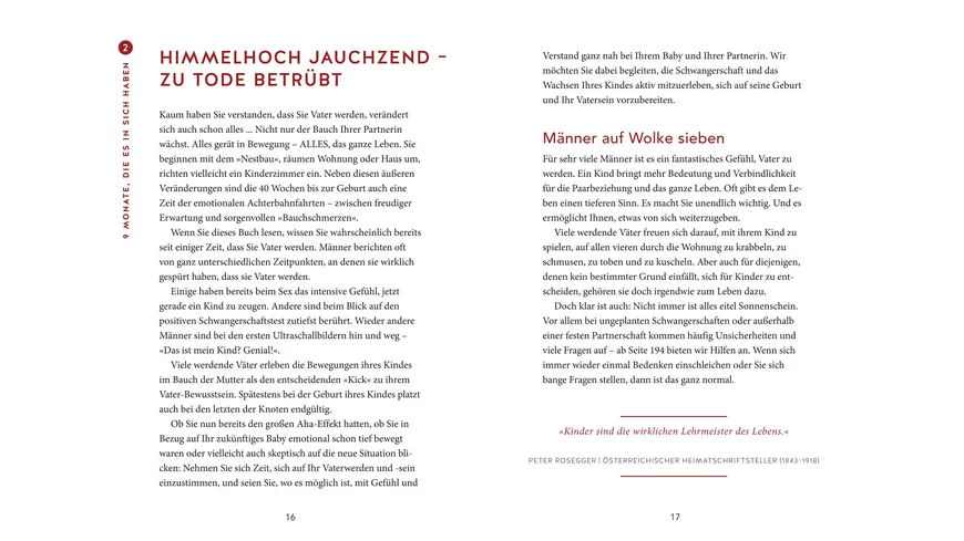 Das Papa-Handbuch