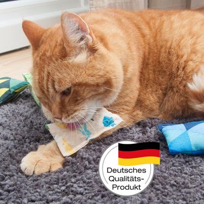Aumüller Katzenspielzeug Baldriankissen Baldini