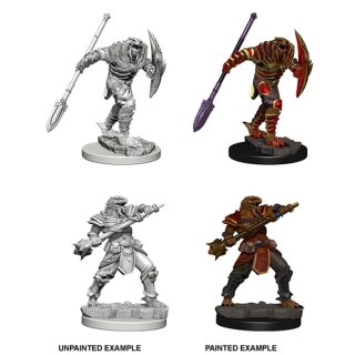 Dragonborn Male Paladin: Nolzurs Marvelous Unpainted Minis