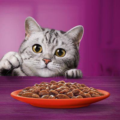 Jumbopack Whiskas 1+ Adult Frischebeutel 144 x 85 g