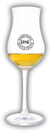 HSE Saint - Etienne nosing Glas HSE Saint - Etienne nosing Glas Höhe 17,8 cm, Durchmesser 4,5 cm
