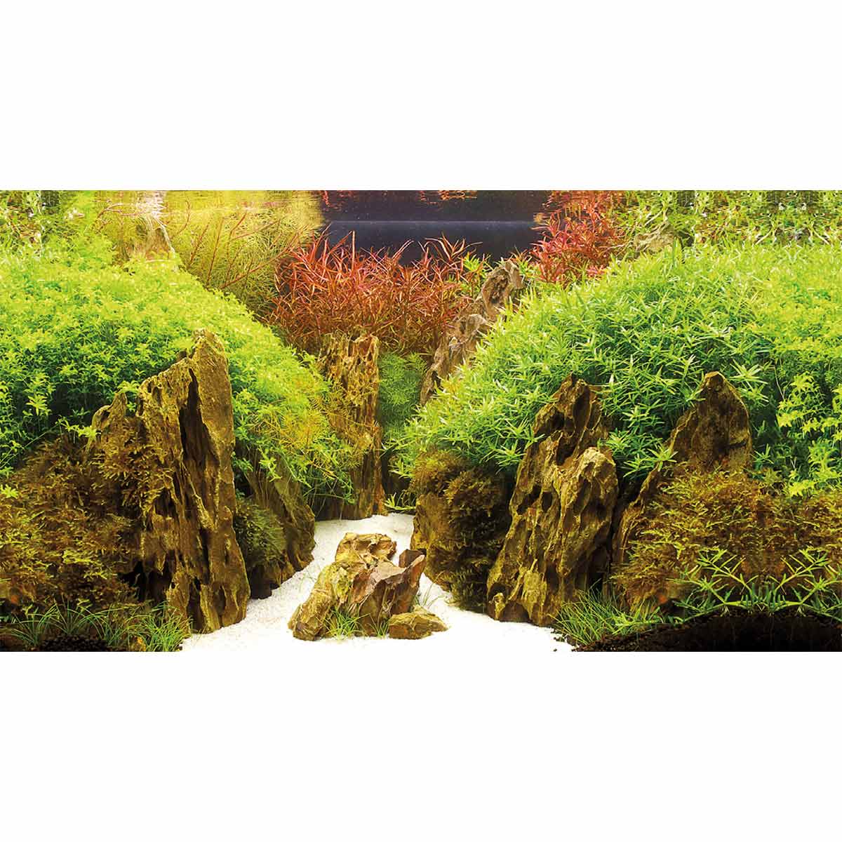 Hobby Aquarium Fotorückwand Canyon / Woodland kaufen
