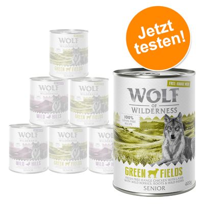 Wolf of Wilderness Senior Mixpakete