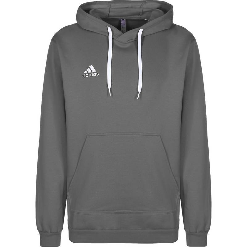 adidas Entrada 22 Hoodie Herren