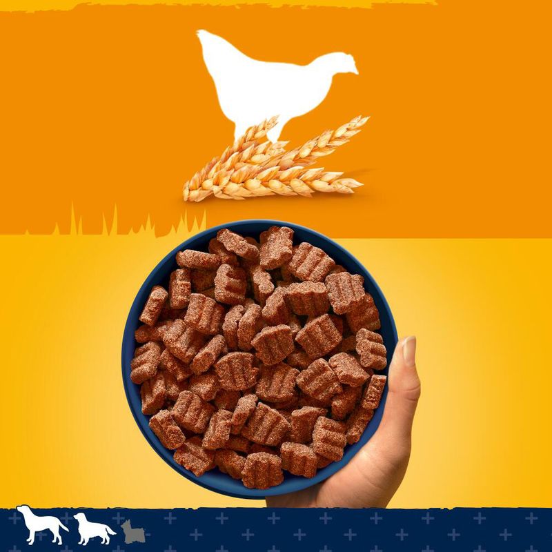 Pedigree Tender Goodness mit Geflügel zu TOP-Preisen | bitiba %