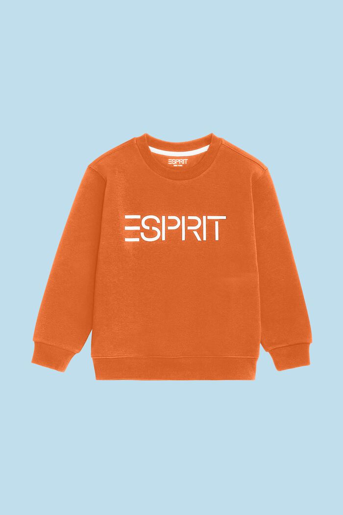 Logo-Sweatshirt mit Rundhalsausschnitt