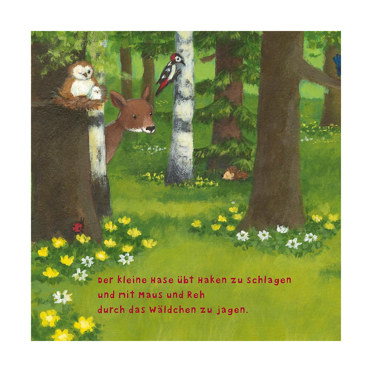 Baby Pixi (unkaputtbar) 97: Der kleine Hase